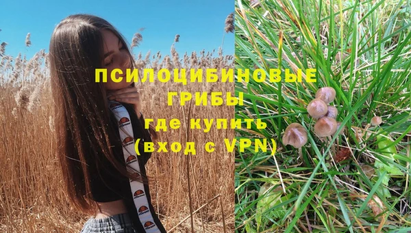 индика Абдулино