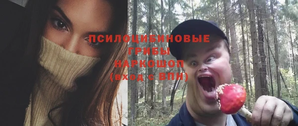 индика Абдулино