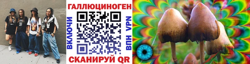 сколько стоит  Шахунья  Галлюциногенные грибы мицелий 